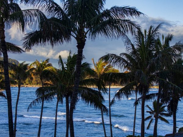 How Much Does It Cost to Move to Hawaii? Consider These 7 Expenses